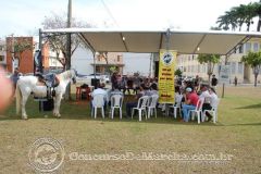 Cursos de Equideocultura Durante a Semna do Fazendeiro UFV 2013