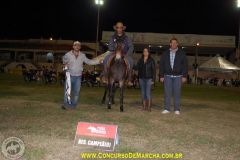 Final da Copa Brasileira de Marcha de Muares da ABCJPÊGA 2013