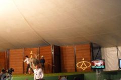 Equipe Alex Andel Uberaba na Expozebu e no Leilo MAAB