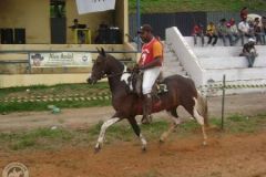 Festa do Clube do Cavalo de Ouro Branco -2010