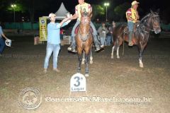 Concurso de Marcha de Rio Pomba-MG