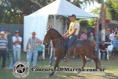 9ª Festa do Cavalo e dos Muares de Viçosa - Concurso Aberto - Parte 01