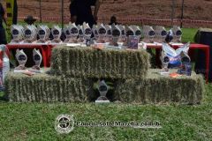 Haras La Glória/ Fazenda Cachoeira - Concurso Aberto de Marcha 1ª Parte