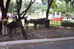 N9FAC6URV22XDU71O5QJ