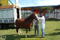 MTDOIOHN13KLOV8NQHB3
