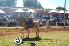 RWC1WA558KVDAEQ4F021
