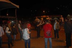 ELM225P3E529DWR6SE6M