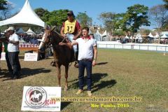 KNYNA86M31BNRYTEXICQ