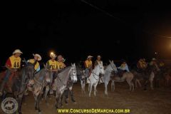 9ª Festa do Cavalo e dos Muares de Viçosa - ABCJPÊGA