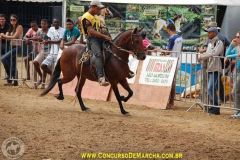 RADK8DQR2VJJ84WII05G