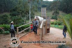 Cavalgada da Colheita e da Integração - Canaã, Araponga e Convidados