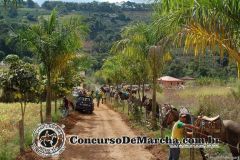 08I84574LEHADJU07O2Q