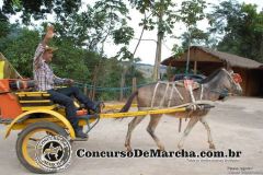 CSXD87X5TTU6S7D5IAG1