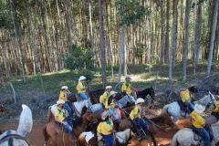 766P7FTR76O83W8CNS9M