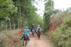 R2M3QOD7V90IFBVVG1LE