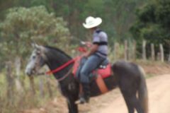 GTUPXVDF741ROCCSP17V