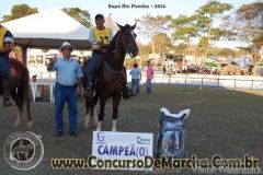 9CNC1QDPLB9LPXNM049P