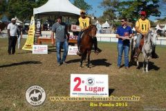 Concurso Aberto de Marcha e Categoria Especial Campolina de Rio Pomba