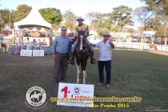2WYGORA1LB8MJE9V6KXP