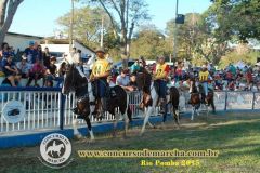 Concurso Aberto de Marcha e Categoria Especial Campolina de Rio Pomba