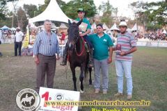 Concurso Aberto de Marcha e Categoria Especial Campolina de Rio Pomba