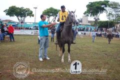 15XHLX6467QL8PA14VLQ