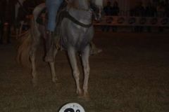 WEA197TX8HJAWE205PA8