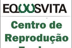 AESVI29JP5254GX9NCXN