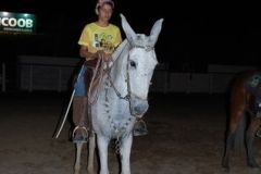 D5JN5424WJWKV5UH0CXO