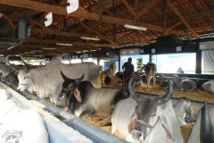 UYHNPWBFROCLSCEHBLJN