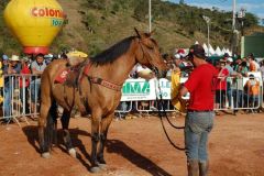8JMP4XLJK23TPTASGUMV