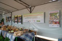 F4C8H0VFRKXY6KISDAS4
