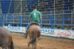 UT9DIMSAE8JIIS7VS1KK