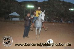 Festa do Cavalo de Santa Rita de Ouro Preto-MG - Parte 02