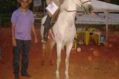 SBU7YCIK9EMG6DTV1MW8