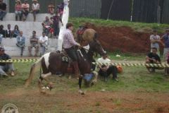 VWH8A95JRQ06DP6QT2X2