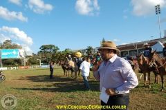 0F7ANKXQ6H19O5MY537E