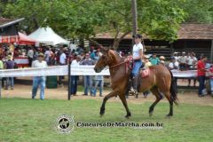 5NOG9BTS62FOIB8UN558