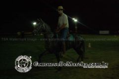 97HMWPNE1B483VH6DTJL