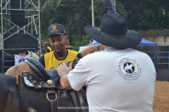 IV Festa do Cavalo e dos Muares de Guaraciaba - MG