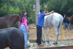 DSC_0131