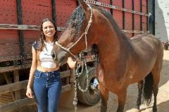 IV Festa do Cavalo e dos Muares de Lamim-MG, Dia 10 de Julho de 2022. um Festo Que Marcou a Volta da Equipe Alex Andel S Pistas.