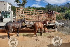 o_1g81eiojoaijoic1d3s1tbb1608dt