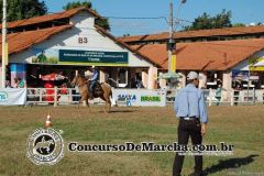 KG4IRMJSMA4J6LIMA9M8