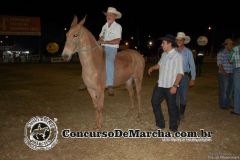 PV6D7FNP3836RHX6DYVG