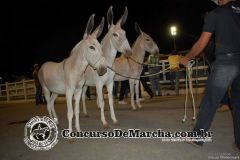 RCT5K9H9FDBR3VKR0ORI