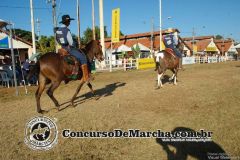 TV79MQ1RCD86CRSAWLY4