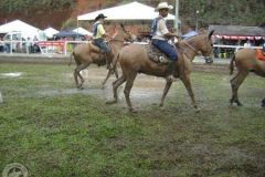 2CAE0AFHG6C8XN63T0AM