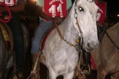 YH8RGA5YYHPB7A5TMJYQ