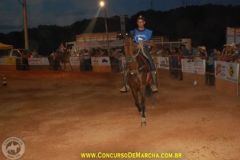VII Festa do Cavalo e dos Muares de Viçosa 2011 - Parte 2